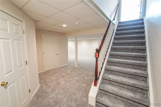 staircase with a drop ceiling and carpet