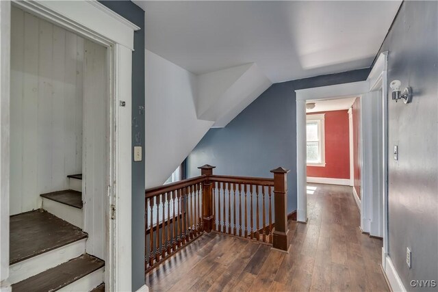 interior space with dark hardwood / wood-style flooring