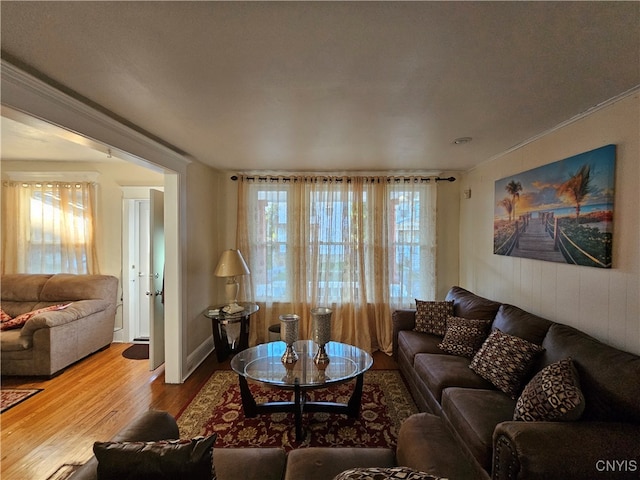 living room with ornamental molding, a textured ceiling, and wood-type flooring