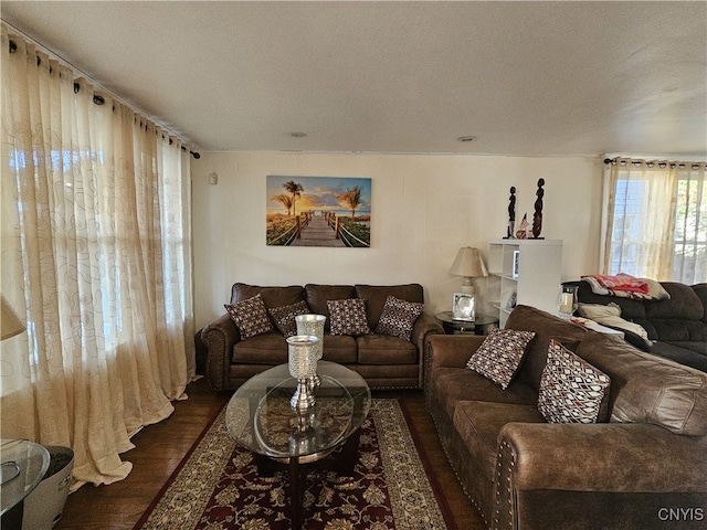 living room with dark hardwood / wood-style flooring and a textured ceiling