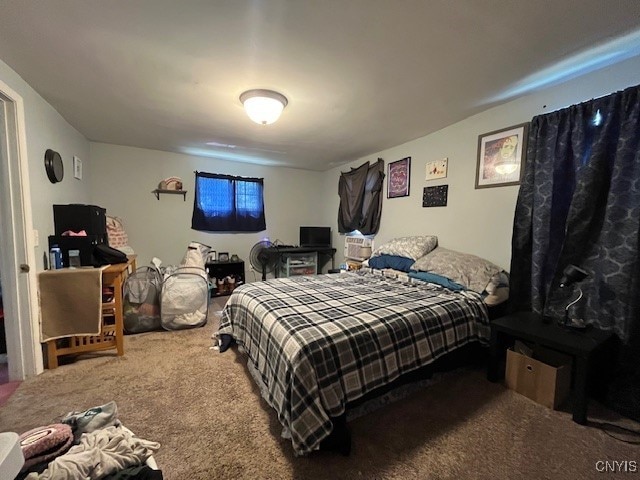 bedroom with carpet floors