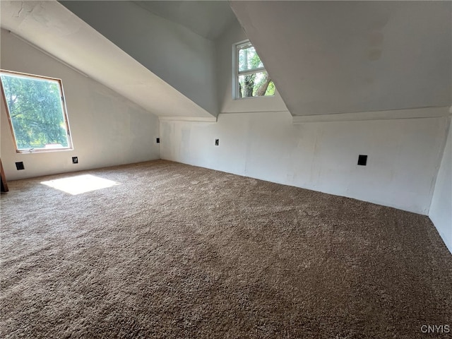 bonus room with carpet, plenty of natural light, and vaulted ceiling