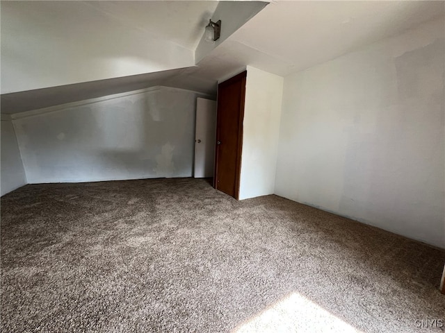 bonus room with carpet