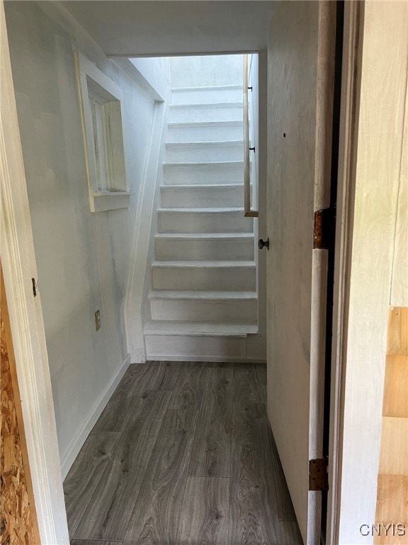 staircase featuring wood-type flooring