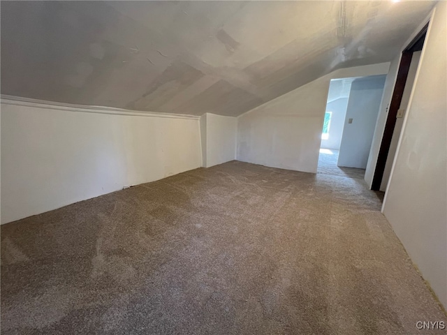 bonus room featuring carpet flooring and lofted ceiling