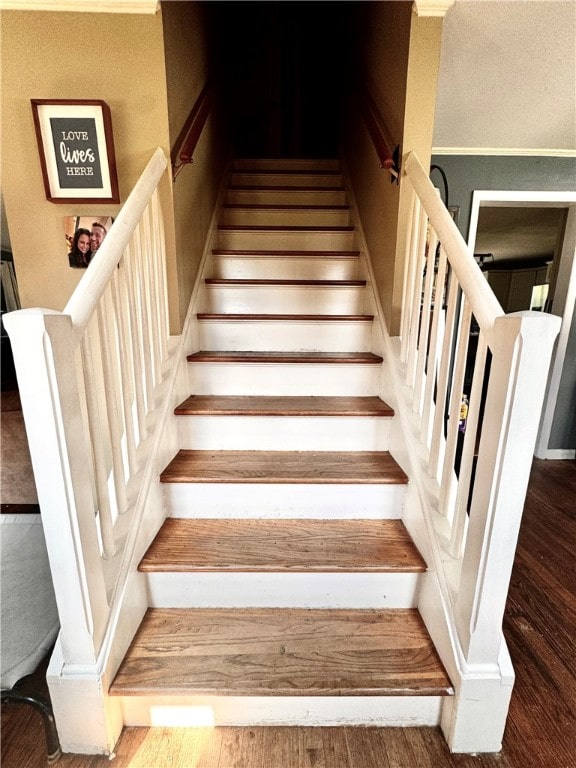 stairway with hardwood / wood-style flooring