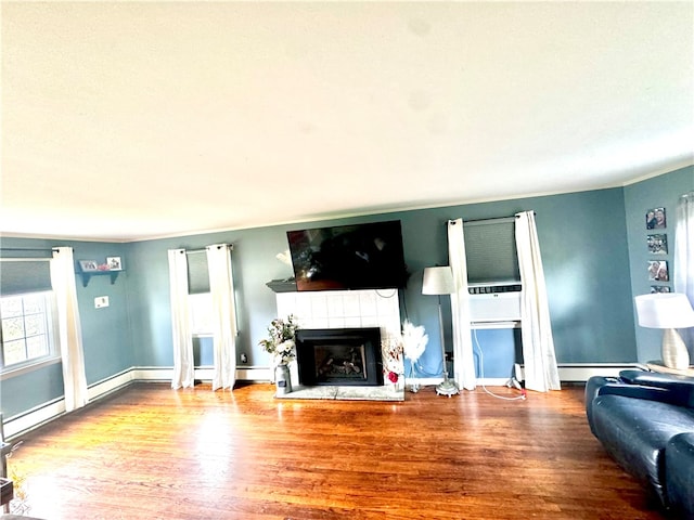 living room featuring wood-type flooring, a baseboard radiator, and a fireplace