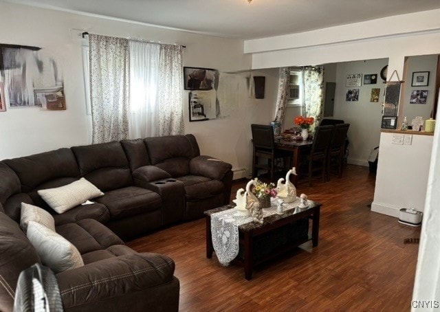 living room featuring a baseboard radiator and dark hardwood / wood-style floors