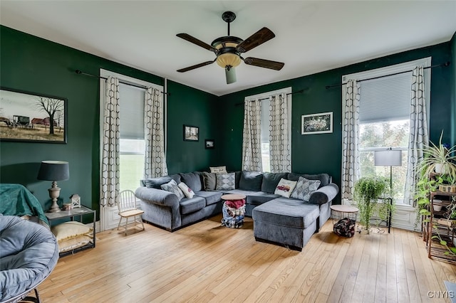 living room featuring ceiling fan and light hardwood / wood-style floors