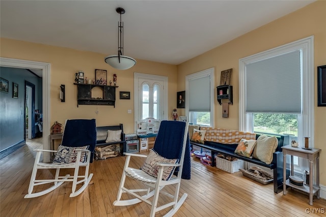 living room with hardwood / wood-style floors