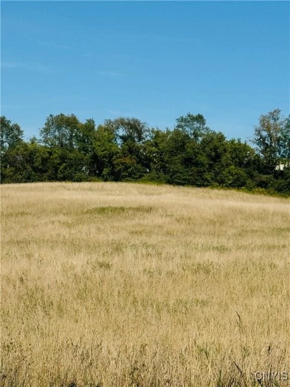 LOT4B Carpenter Ave, Groton, NY 13073 - photo 1