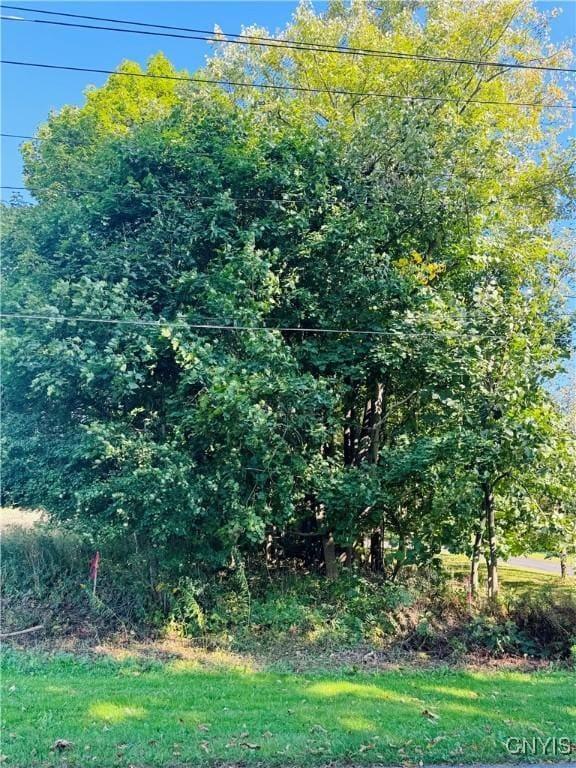 LOT4B Carpenter Ave, Groton, NY 13073 - photo 2