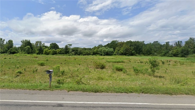 425 County Line Rd, Webster NY, 14519 land for sale