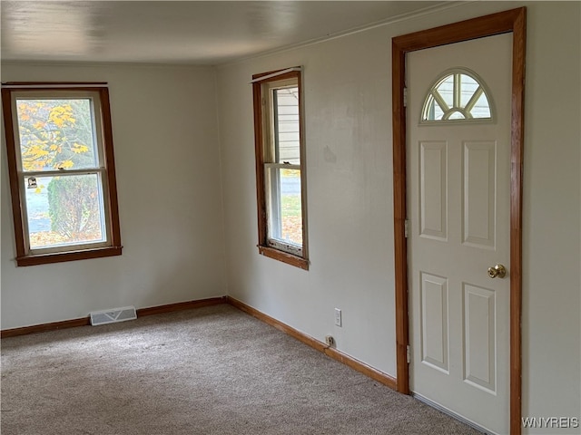 carpeted entrance foyer featuring a healthy amount of sunlight