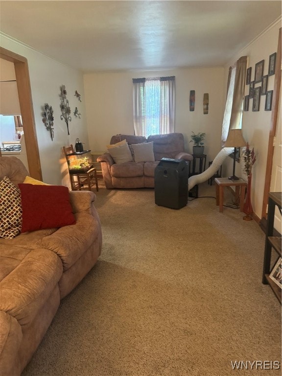 view of carpeted living room