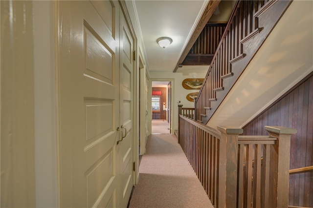 hall with wooden walls and light carpet