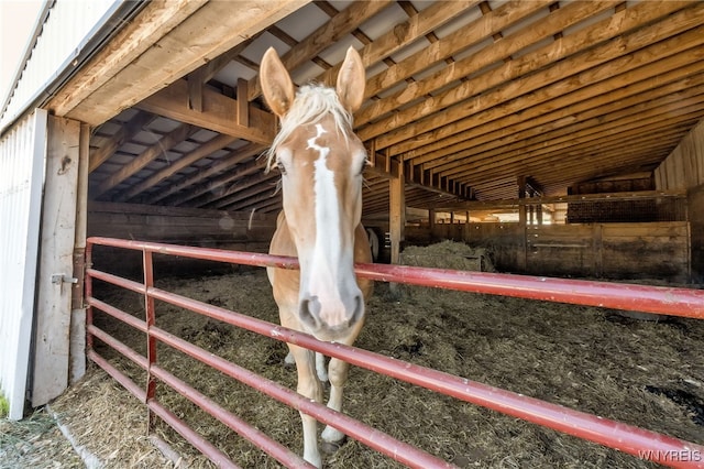 view of stable