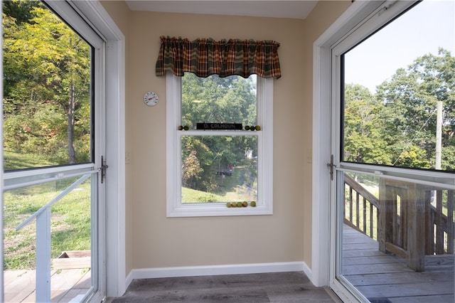 entryway featuring hardwood / wood-style floors and a wealth of natural light