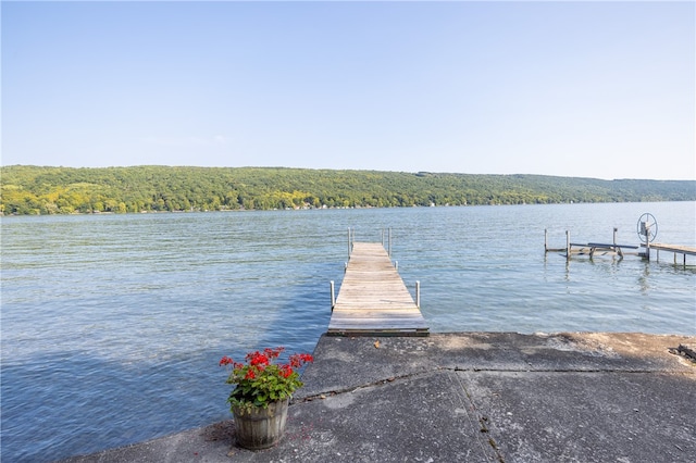 dock area with a water view