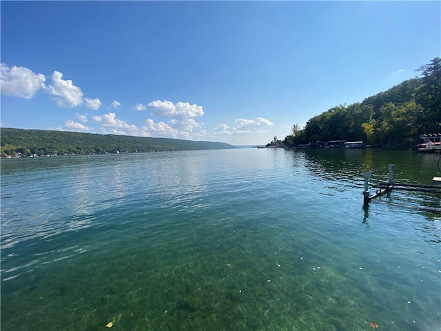 water view featuring a dock