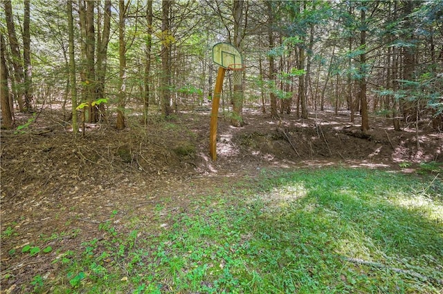view of local wilderness