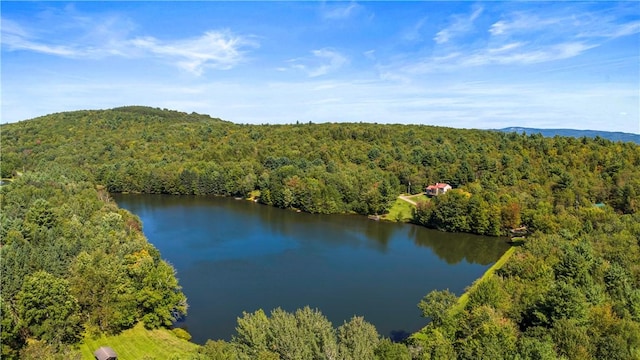 aerial view featuring a wooded view and a water and mountain view
