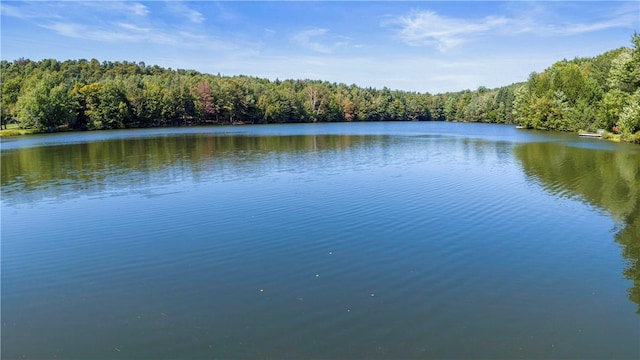 water view with a forest view