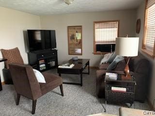 living room with light colored carpet