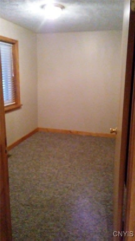 spare room featuring carpet