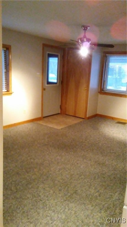 empty room featuring ceiling fan, a wealth of natural light, and carpet