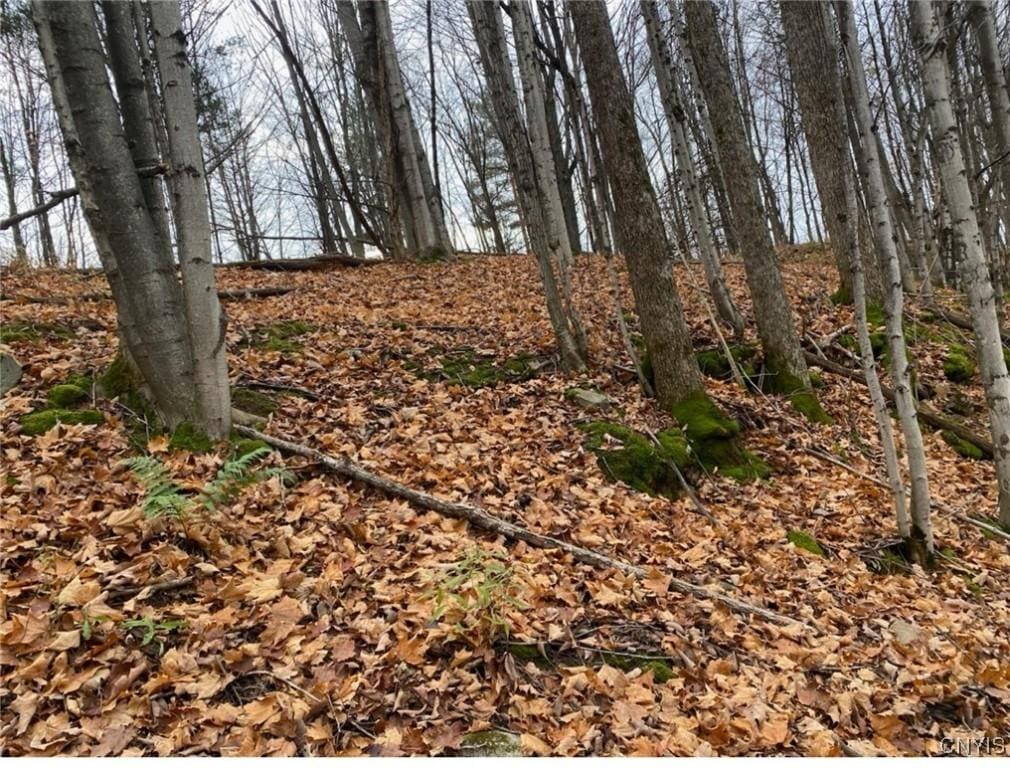 0 Co Route 22, Antwerp, NY 13691