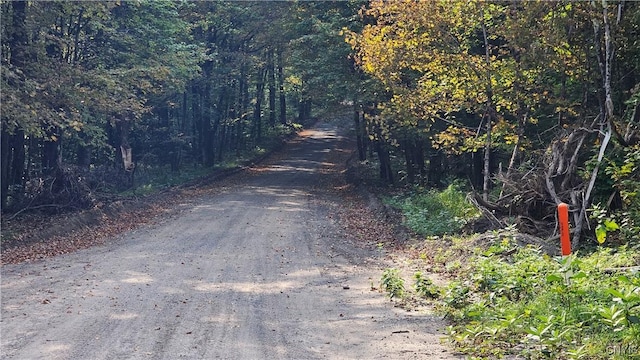 0 Hall Rd, Russia, NY 13324 - photo 9
