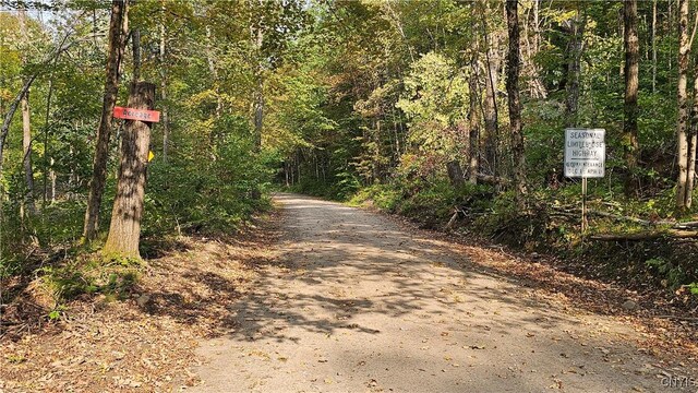 0 Hall Rd, Russia, NY 13324 - photo 10