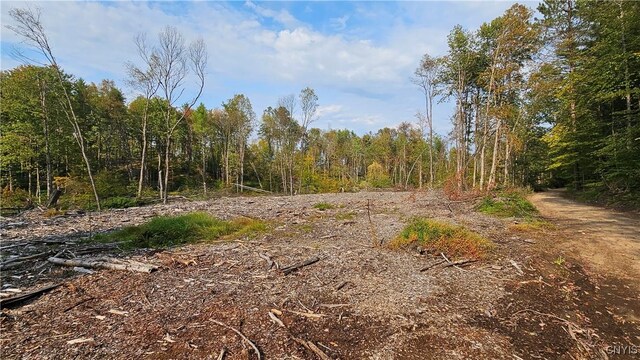 0 Hall Rd, Russia, NY 13324 - photo 11