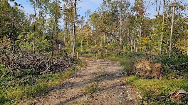 0 Hall Rd, Russia, NY 13324 - photo 12