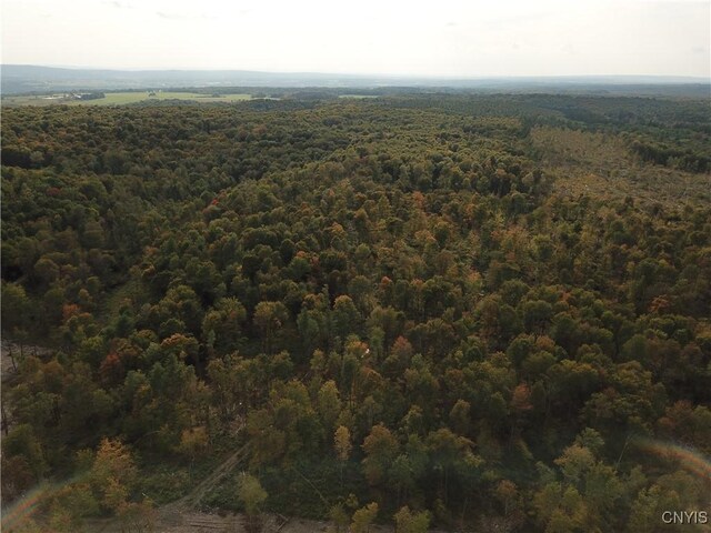 0 Hall Rd, Russia, NY 13324 - photo 15