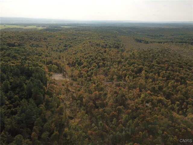 0 Hall Rd, Russia, NY 13324 - photo 16