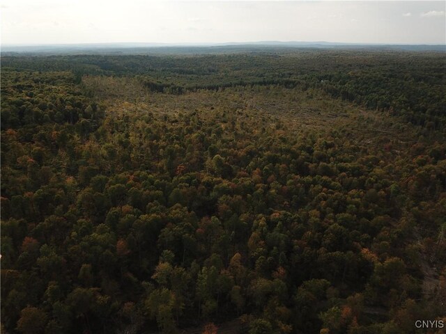 0 Hall Rd, Russia, NY 13324 - photo 17