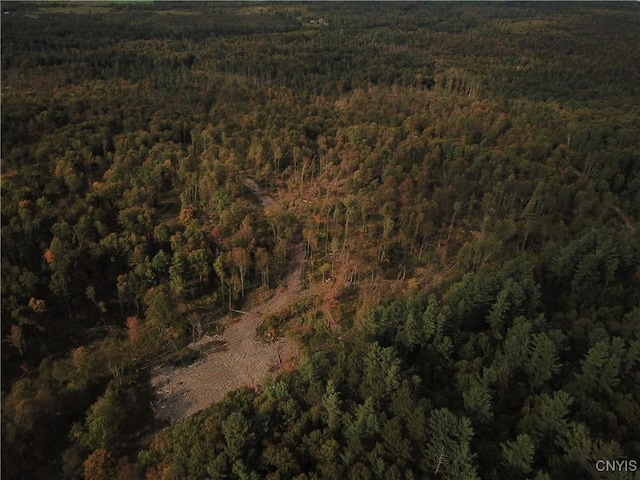 0 Hall Rd, Russia, NY 13324 - photo 18