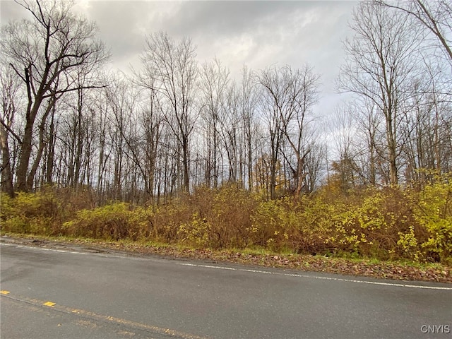 0 Merritt Pl, New Hartford NY, 13413 land for sale