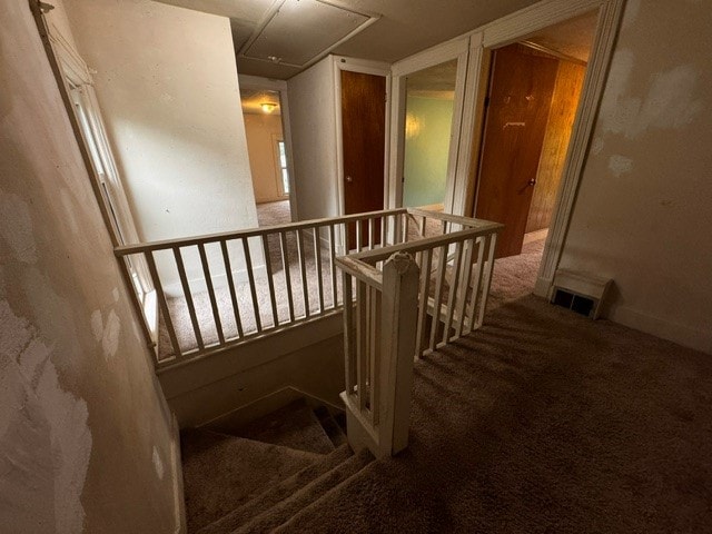 stairway featuring carpet flooring