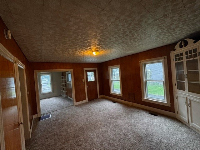 carpeted empty room featuring wooden walls and plenty of natural light