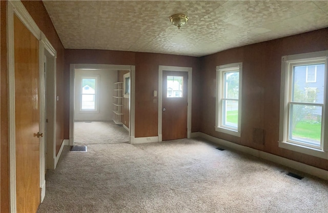 empty room with light carpet and plenty of natural light