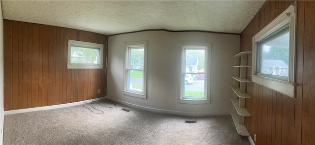 unfurnished room featuring carpet floors and wood walls