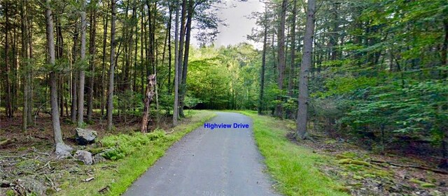 0 Orange Ave, Bethel, NY 12778 - photo 5