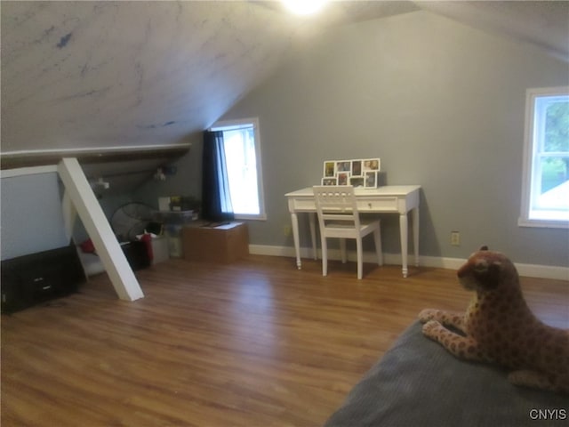 interior space with wood-type flooring, vaulted ceiling, and a healthy amount of sunlight