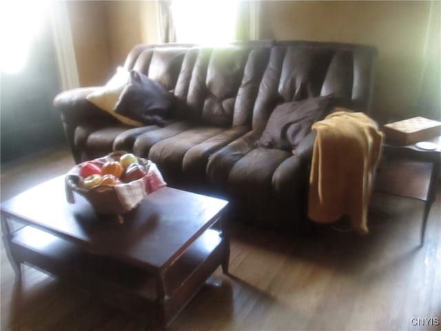 living room with dark hardwood / wood-style floors