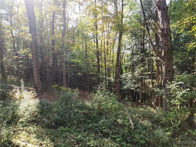 33 Creek Ridge Rd, Ellicottville, NY 14731 - photo 2
