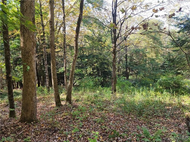 33 Creek Ridge Rd, Ellicottville, NY 14731 - photo 3