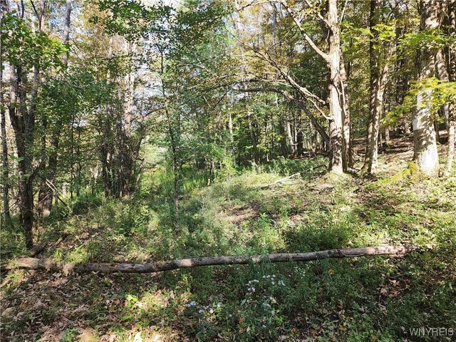 33 Creek Ridge Rd, Ellicottville, NY 14731 - photo 4